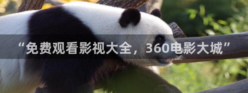 yy6080080青苹果影院：“免费观看影视大全，360电影大城”
