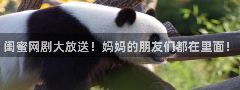 青苹果乐园影院免费观看综艺：闺蜜网剧大放送！妈妈的朋友们都在里面！